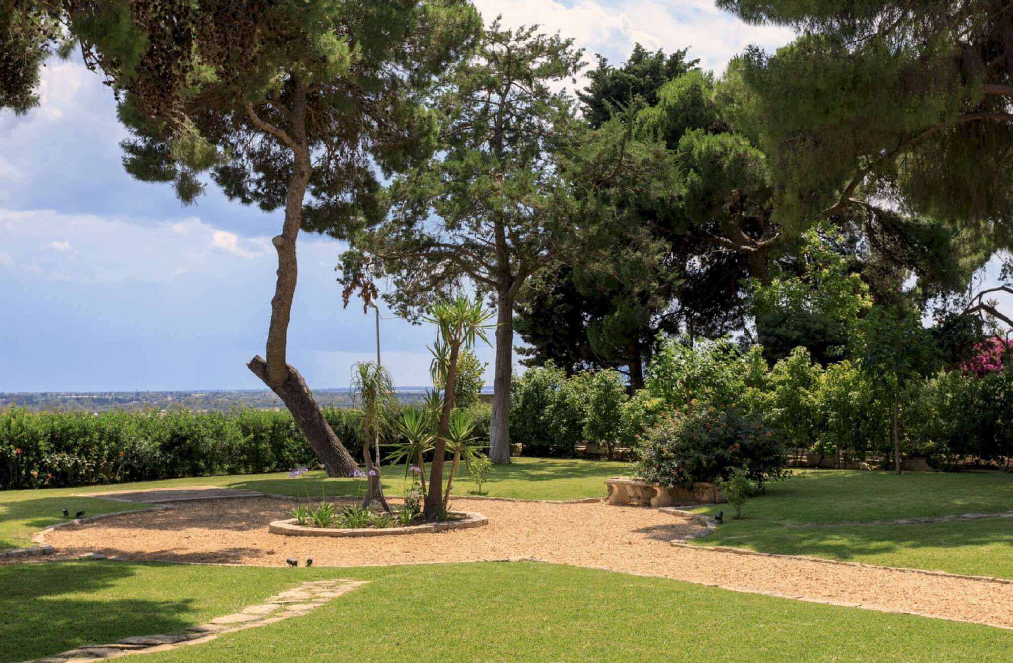 A landscaped garden with a variety of trees, a clear sky, and a distant view of the horizon.