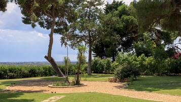 A landscaped garden with a variety of trees, a clear sky, and a distant view of the horizon.