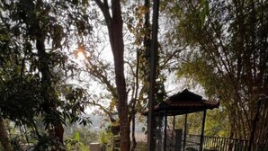 An outdoor seating area with a gazebo, surrounded by trees and a paved walkway. - Pomma Holidays & Resorts Wayanad (Sulthan Bathery)