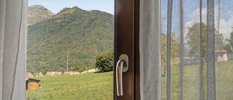 A view through a window with a door handle, overlooking a green field and a mountain range.