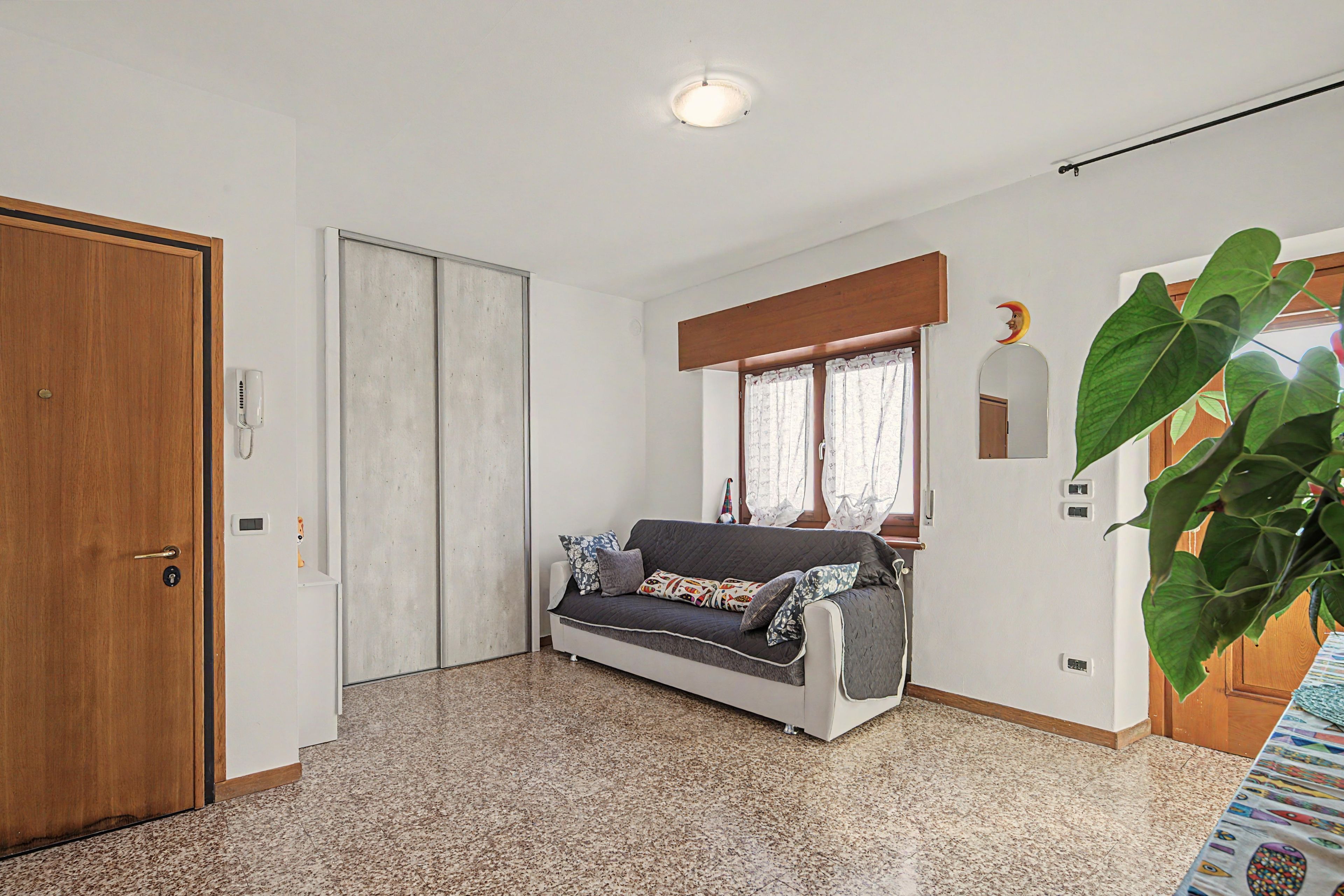 Una habitación con sofá, puerta de madera, ventana con cortinas y una planta grande.