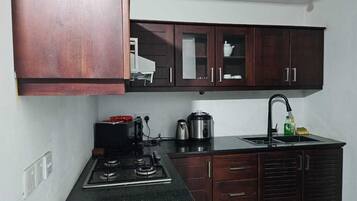 Basic Apartment, Balcony, City View | Private kitchen | Shared microwave