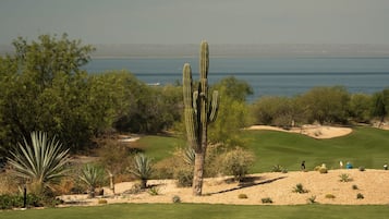 A golf course with a cactus in the foreground, a clear sky, and a view of the ocean in the background.