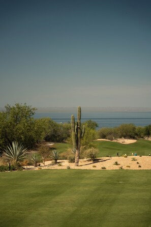 Un terrain de golf avec un cactus au premier plan, un ciel dégagé et une vue sur l’océan en arrière-plan.