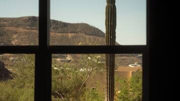 A window view of a desert landscape with a prominent cactus.