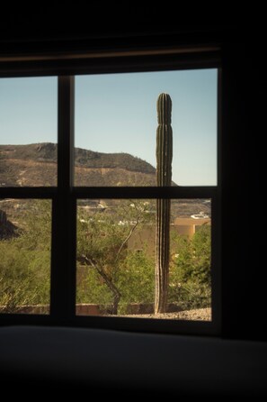 A window view of a desert landscape with a prominent cactus. - Puerta Cortés Las Colinas by Lumina (La Paz)
