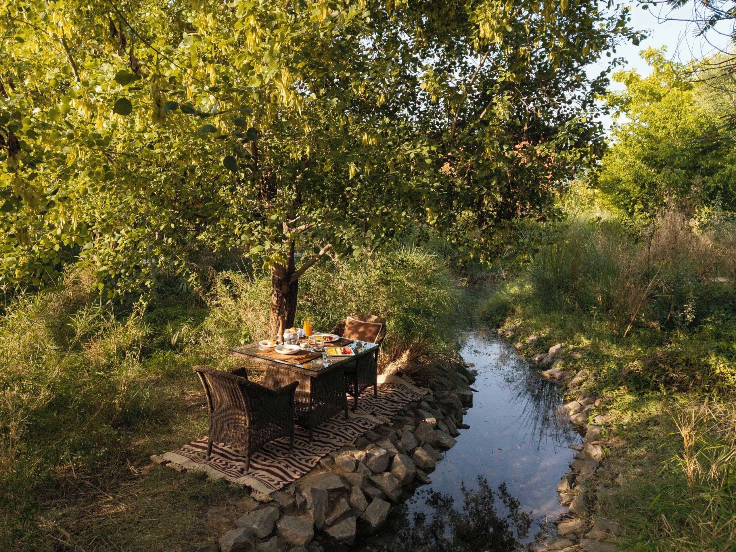 An outdoor dining area with a table and chairs set up on a stone ledge by a stream, surrounded by lush greenery.