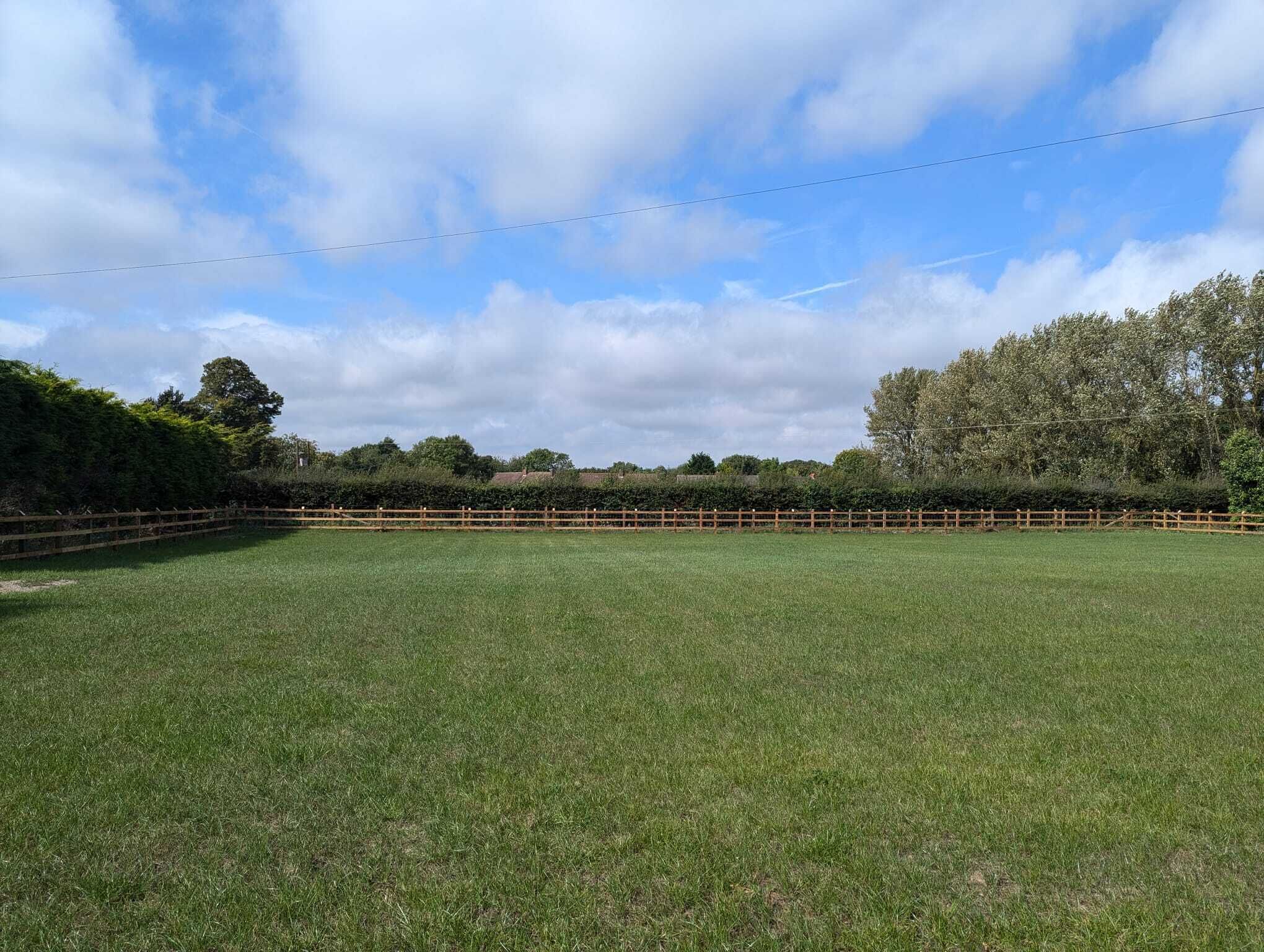 A large, open grassy field with a wooden fence in the background.