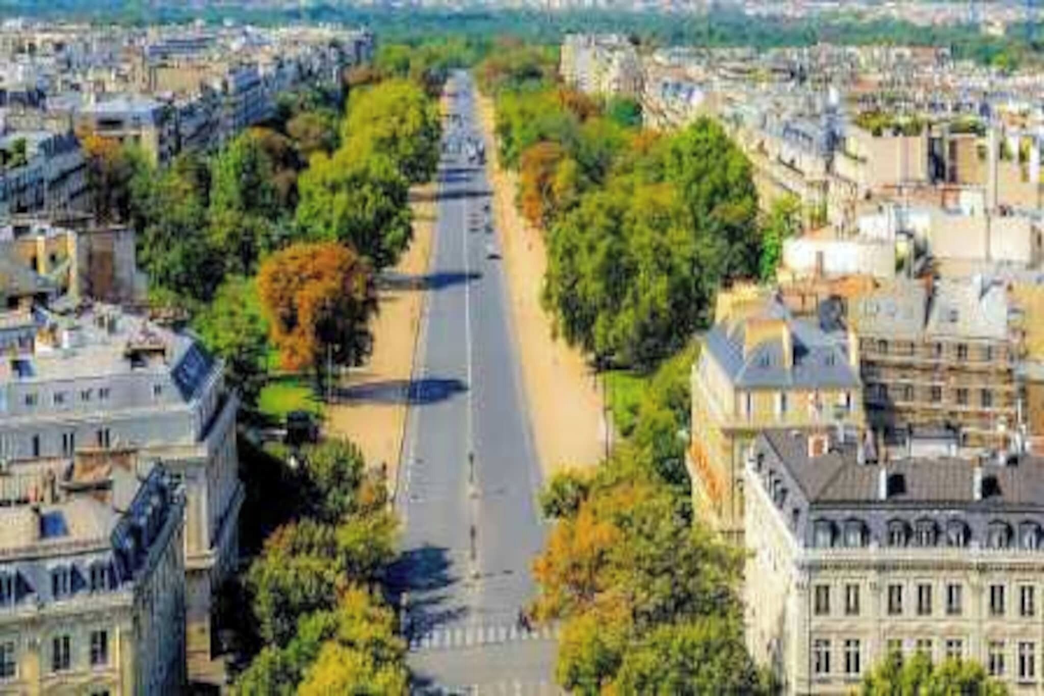 Eine breite Straße, gesäumt von Gebäuden, mit Bäumen entlang der Fahrbahn.