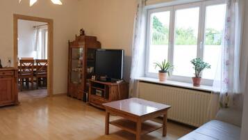 Fernseher