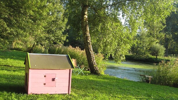 A small pink shed in a grassy area with a pond and trees in the background. - Pretty little Picardy house by the water (Epagne-Epagnette)