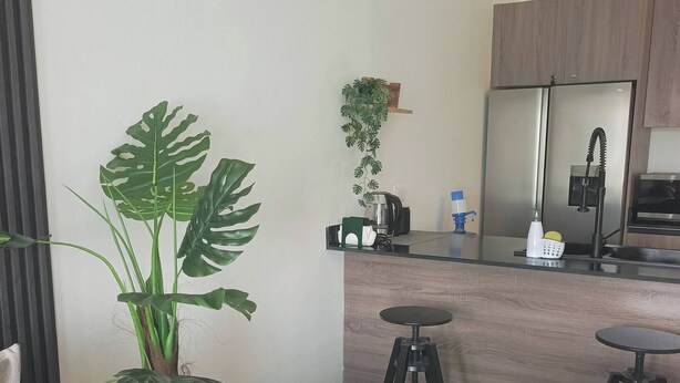 Un salon moderne avec un canapé, une grande plante en pot et un coin cuisine équipé d’un réfrigérateur et d’un évier.