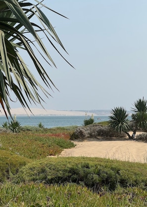 Eine Küstenlandschaft mit einem Sandstrand, grüner Vegetation und freiem Blick auf den Ozean.