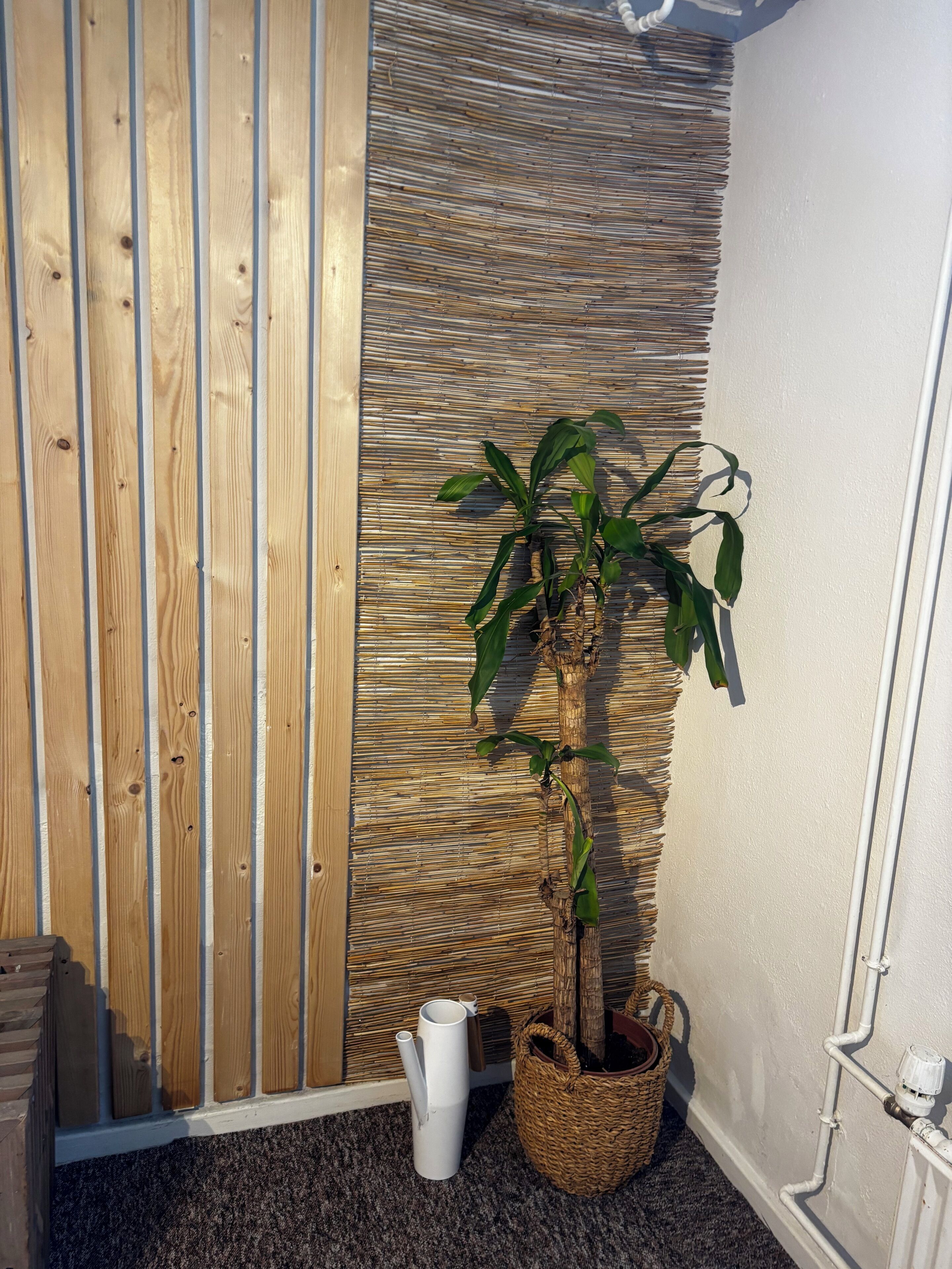 A corner of a room with a wooden slat wall, a woven wall panel, a potted plant, a white vase, and a wicker basket.