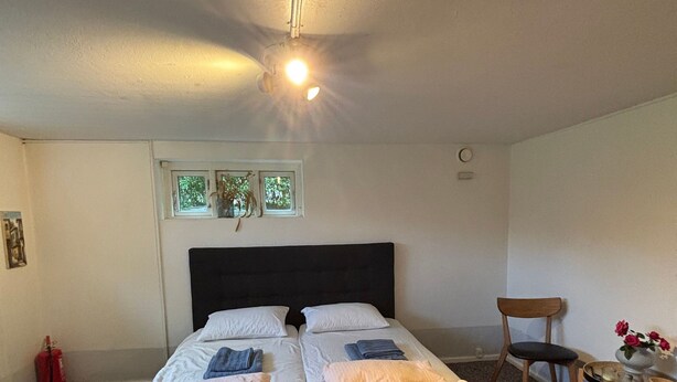 A room with two beds, a window with plants, a chair, and a small table with flowers.