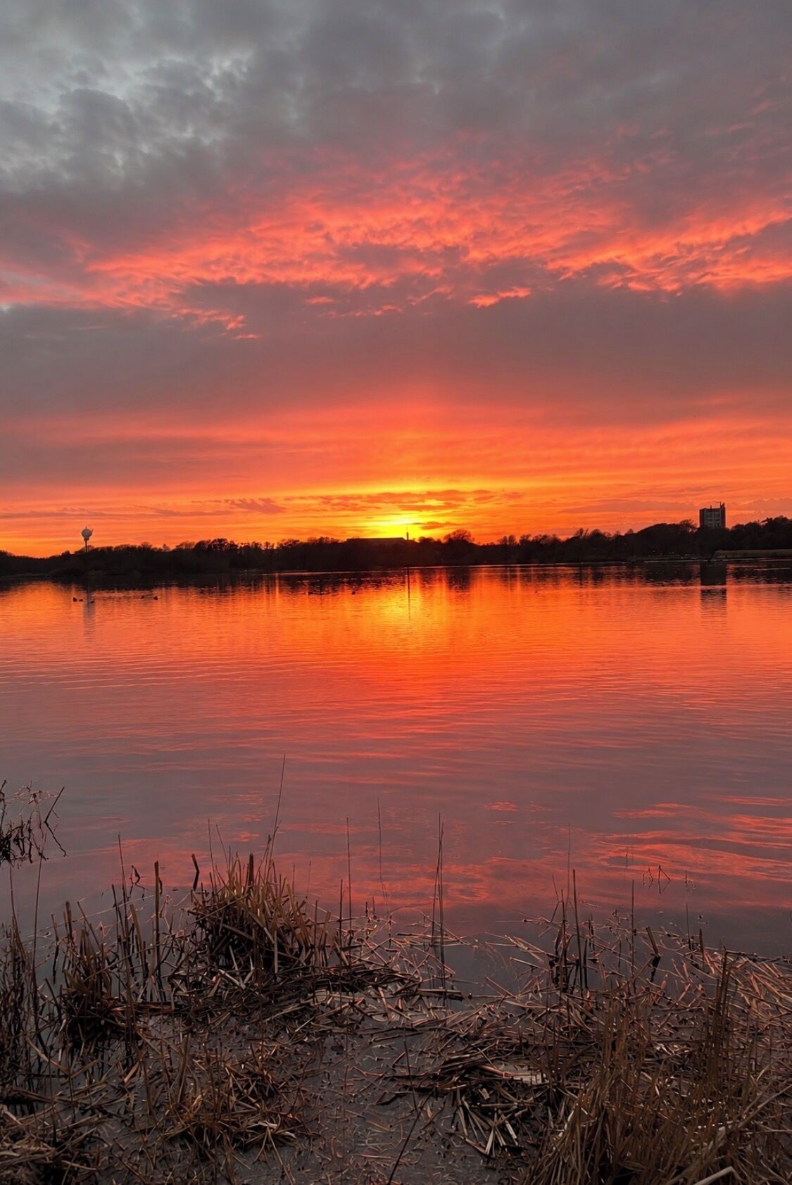 Un coucher de soleil sur un lac paisible, avec la silhouette d’un bâtiment situé au loin.