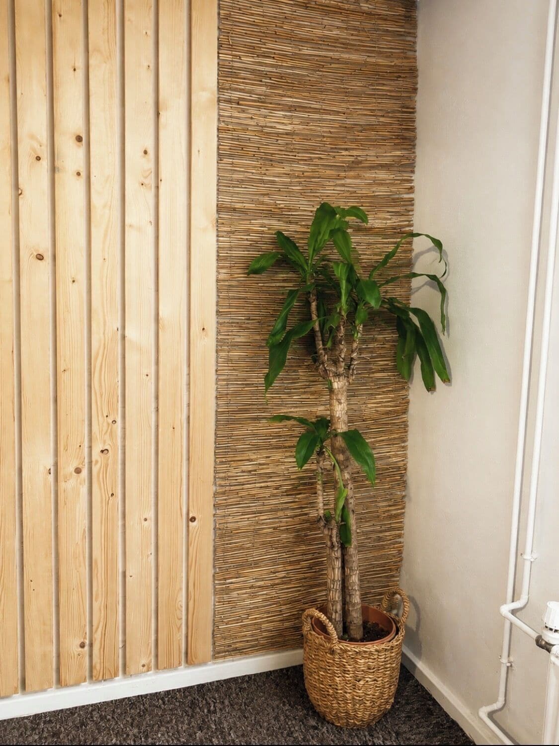 Apartment, 1 Bedroom, Garden View | Interior