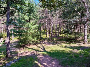 Ein bewaldetes Gebiet mit einem Feldweg und grünen Stühlen.