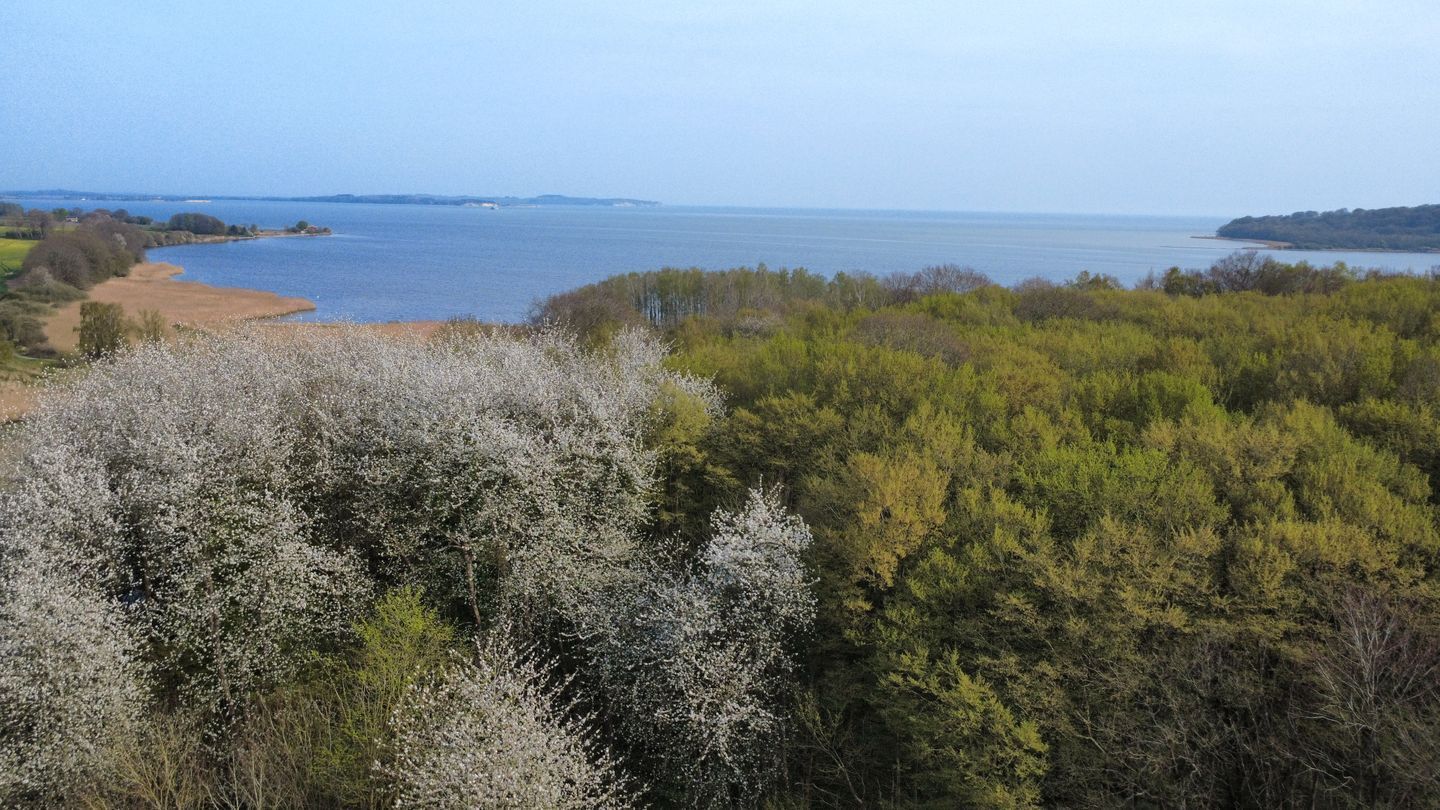 A coastal landscape with a body of water, trees, and a distant shoreline.
