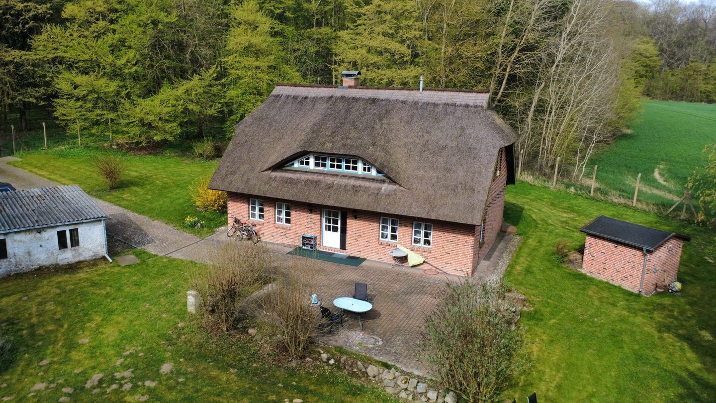A thatched-roof house with a paved patio and a small shed.