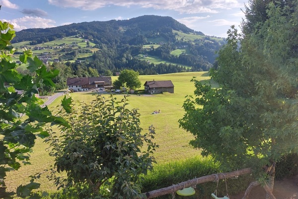 Blick vom Esszimmer auf die Berge