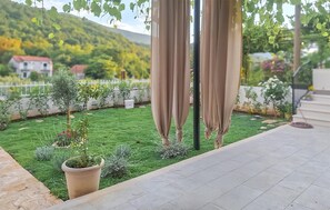 Ein Garten mit Rasenfläche, Topfpflanzen und einem Haus im Hintergrund.