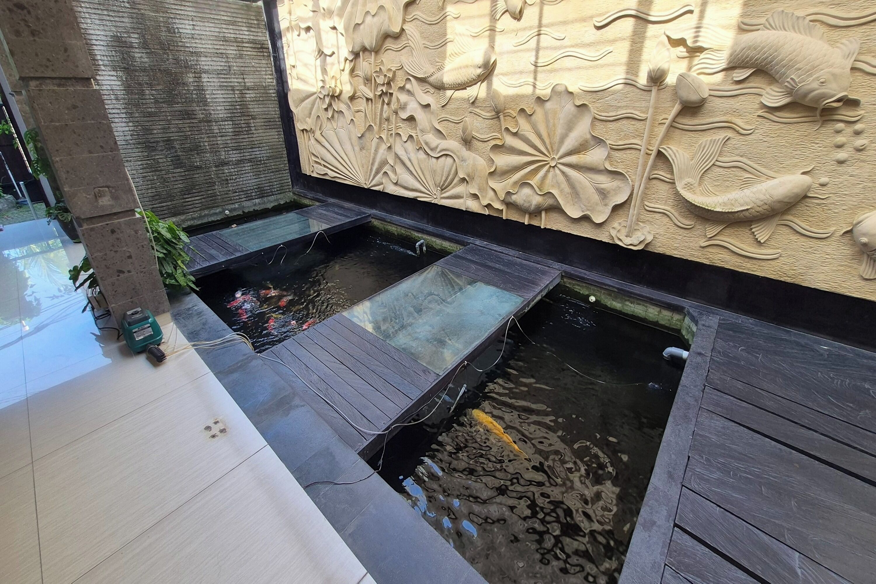 A modern indoor koi pond with decorative wall art and a clean, tiled floor.