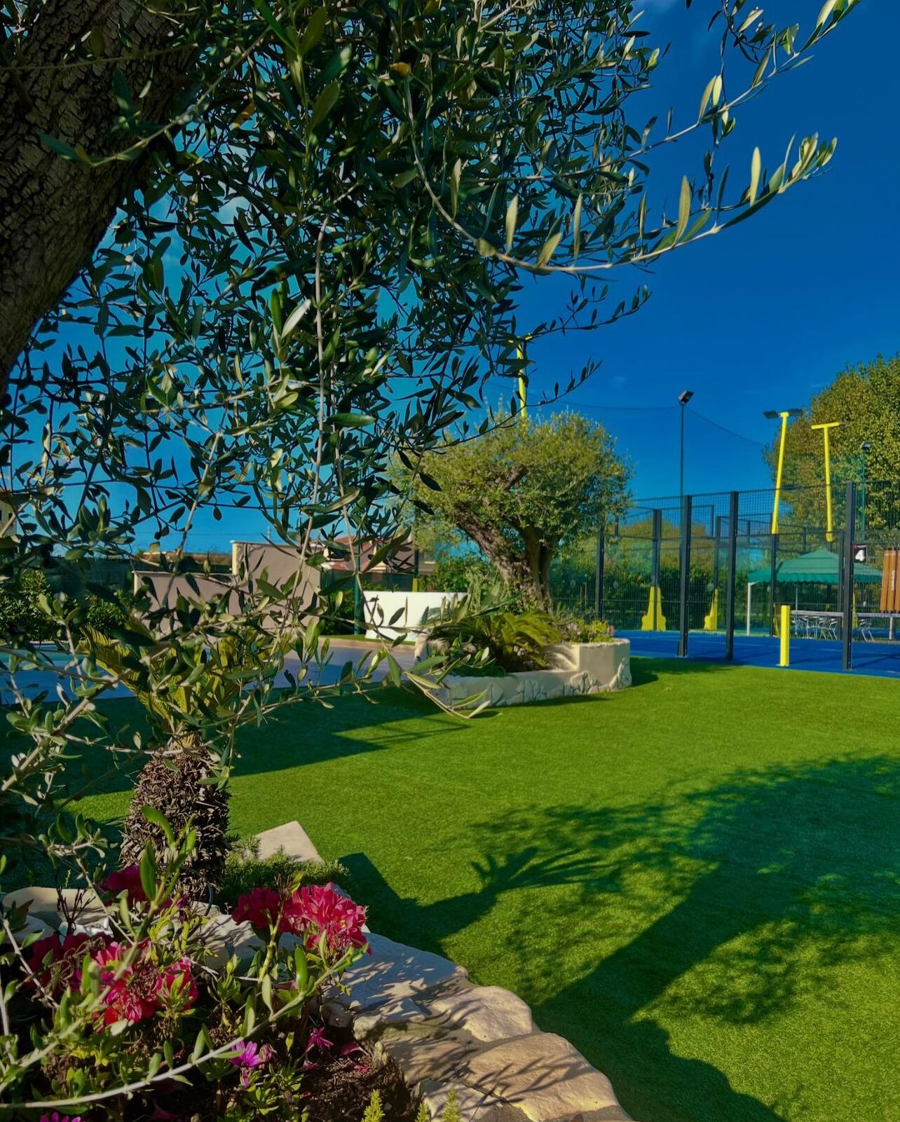 Un jardín bien cuidado con diversas plantas y un cielo azul despejado.