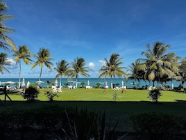 Escena de playa tropical con palmeras, sillas de descanso y sombrillas.