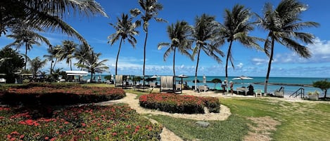 A tropical resort with palm trees, a beach, and a clear sky.