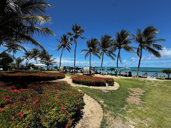 A tropical resort with palm trees, a beach, and a clear sky.