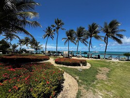 Um resort tropical com palmeiras, uma praia e céu claro.