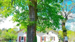Um edifício branco com persianas vermelhas, rodeado por árvores e grama verdejantes.