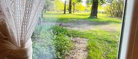 Ett fönster med en spetsgardin, utsikt över en gräsyta med träd och en grusgång.