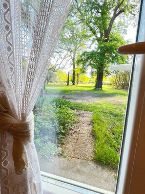 A window with a lace curtain, a view of a grassy area with trees, and a gravel path.