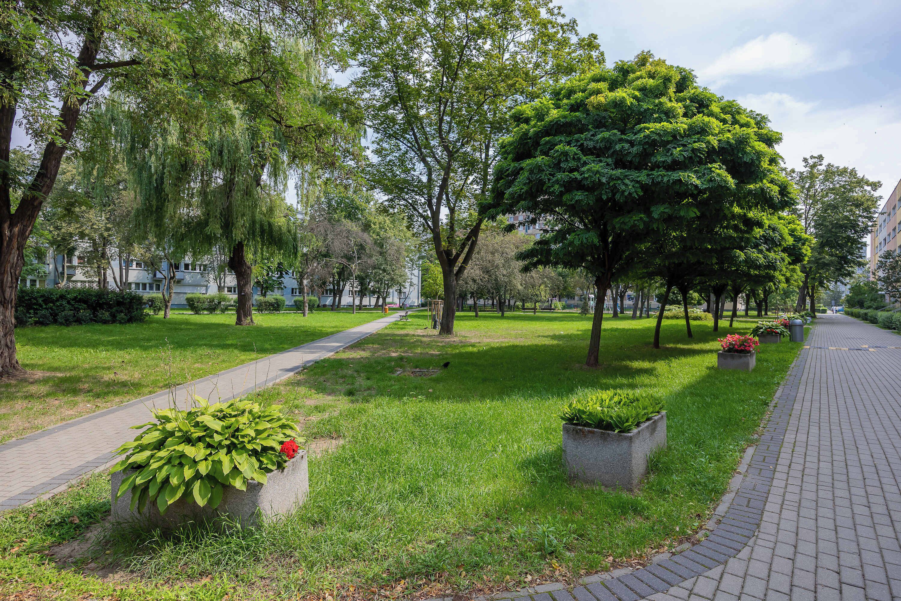 A park pathway lined with trees and planters with green foliage.