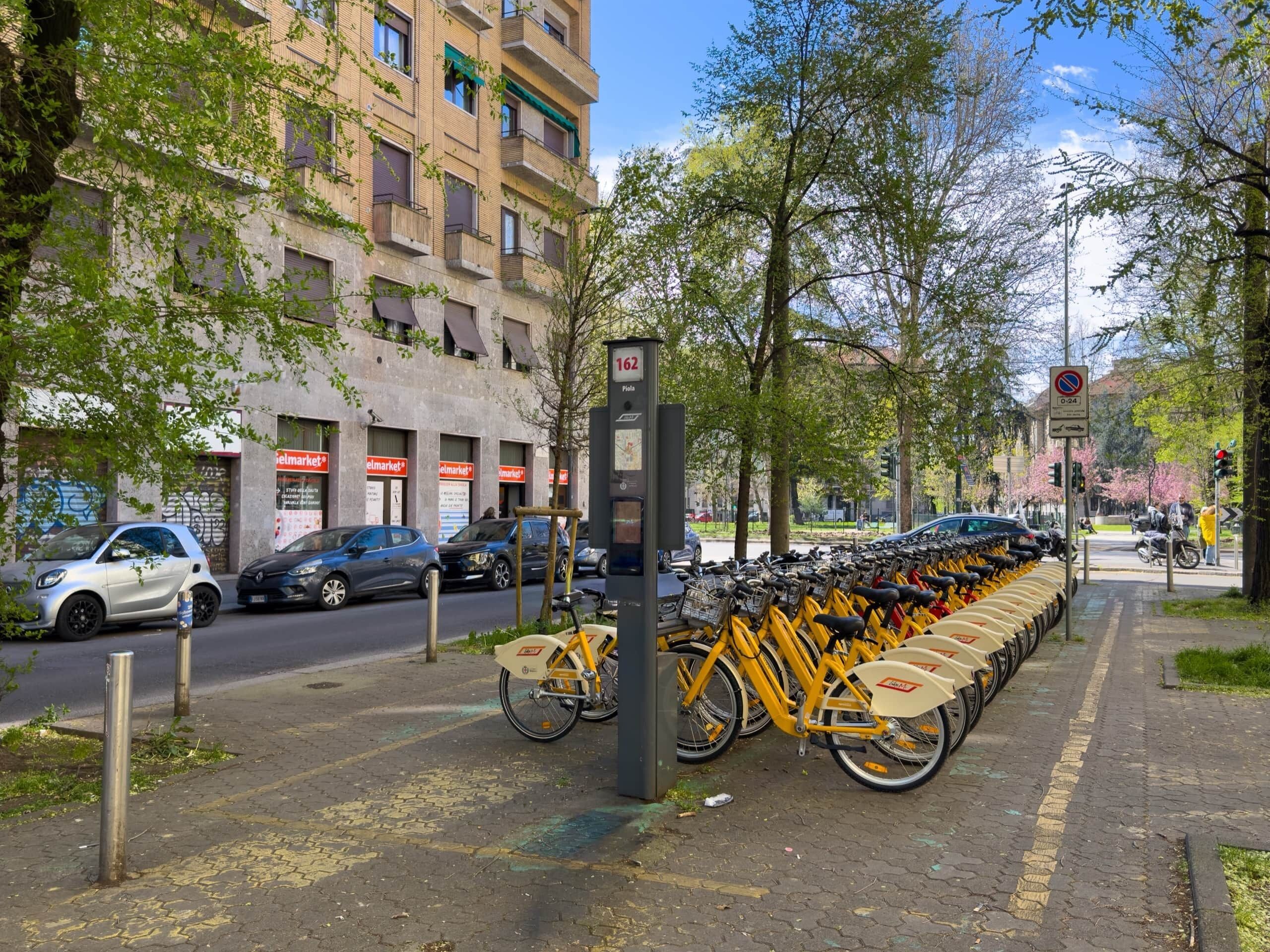 A row of yellow bicycles parked on a sidewalk, a row of parked cars, and a building with multiple windows and balconies.