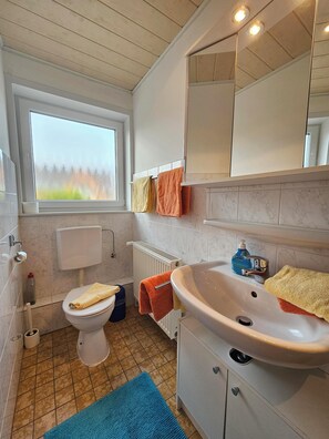A bathroom with a toilet, sink, mirror, and window. - Apartment 2 in the Flechtner Building (Norderney)