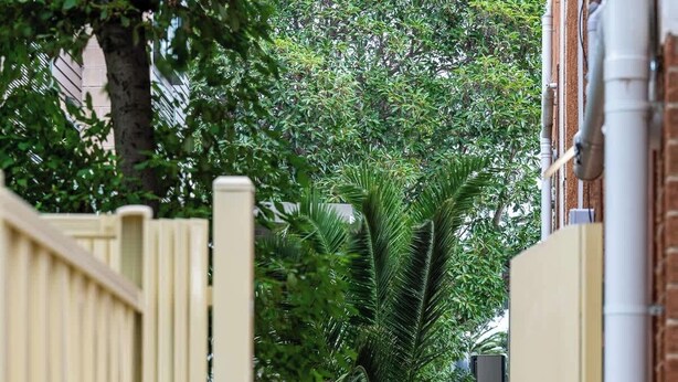 Un estrecho sendero que conduce a una entrada con puerta y una palmera, además de plantas en macetas.
