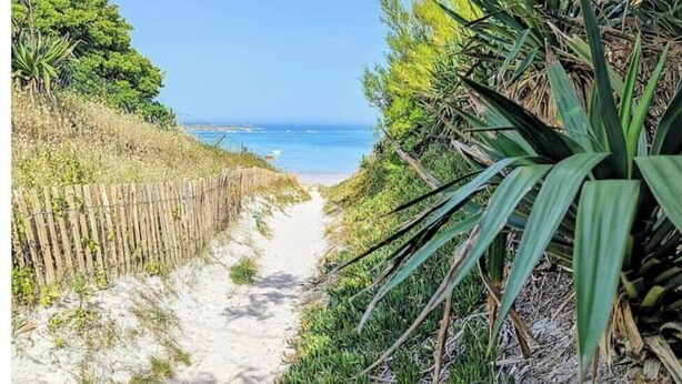 Beach - La Pause Iodée, 50 metres from the dunes and the GR34, Santec (Santec)
