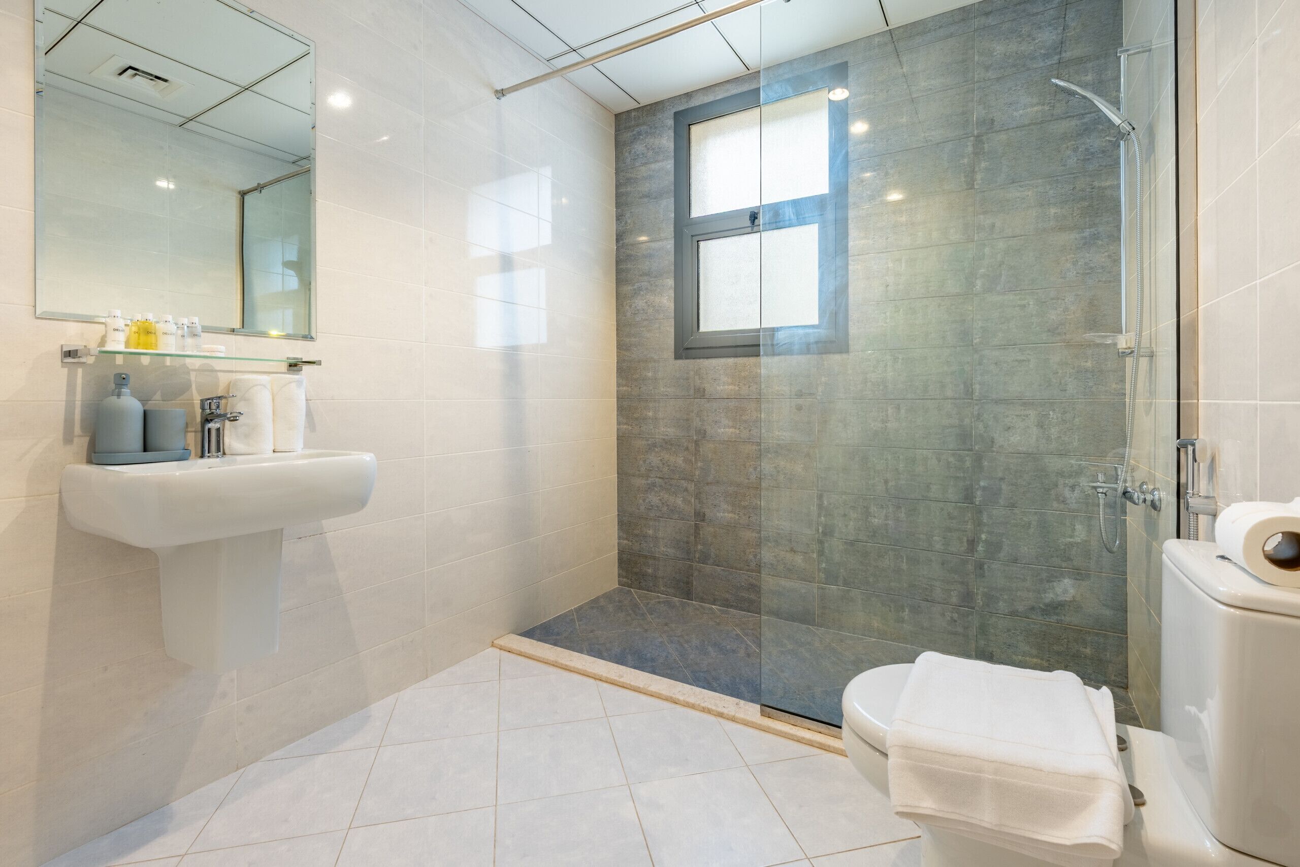Shower, hair dryer, bidet, towels