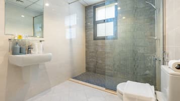 Shower, hair dryer, bidet, towels
