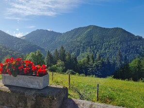Eine Berglandschaft mit einem Betonpflanzgefäß im Vordergrund, gefüllt mit roten Blumen.