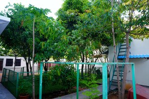 Ein von einer Hecke umgebener Garten mit verschiedenen Bäumen und einer an einer Mauer angelehnten Leiter.