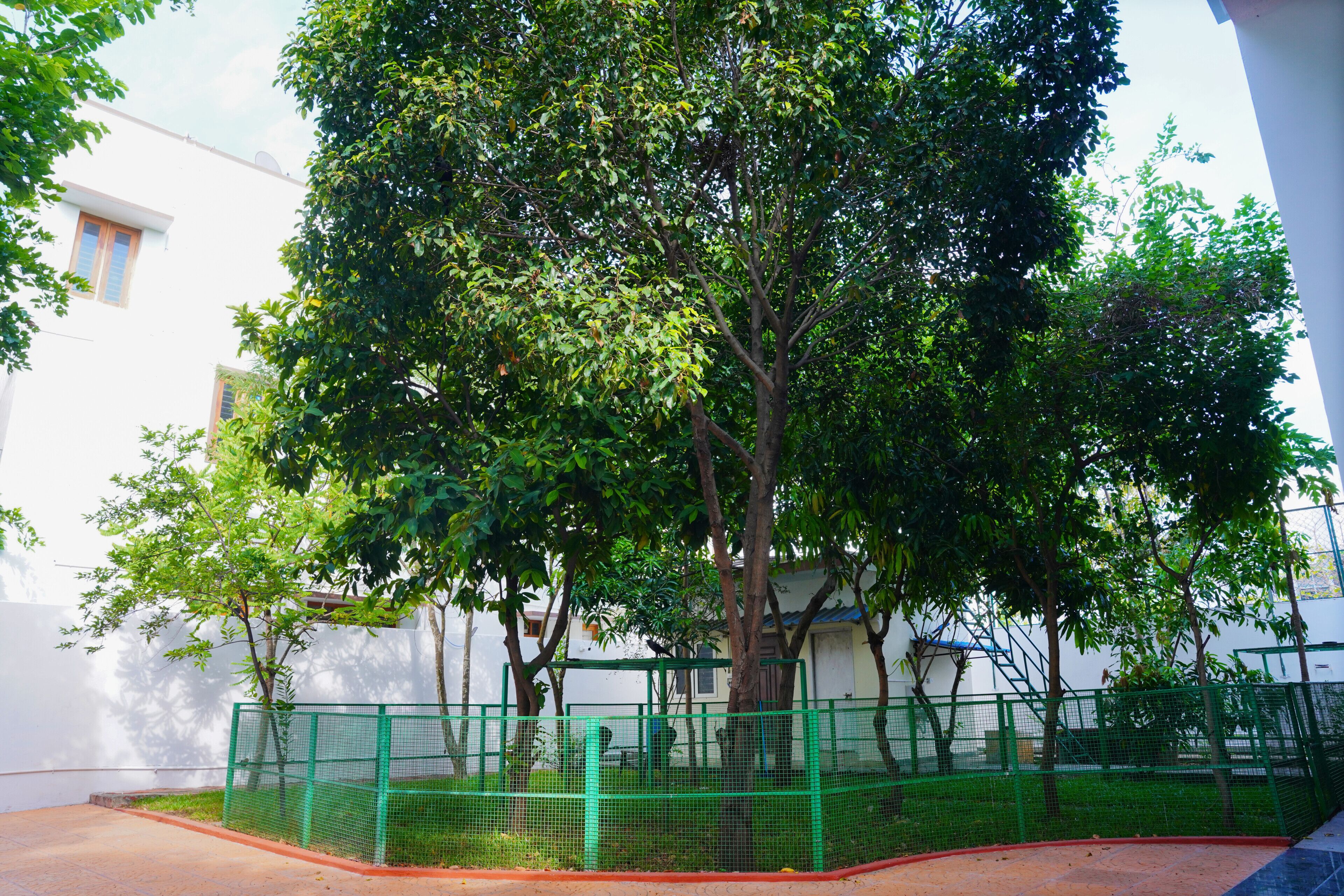 Un patio arbolado con cerca verde, un edificio blanco y cielo despejado.