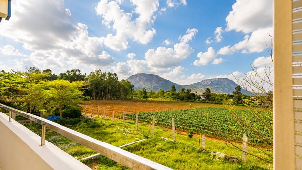 Uma varanda com vista para um vinhedo, uma montanha e um céu claro.
