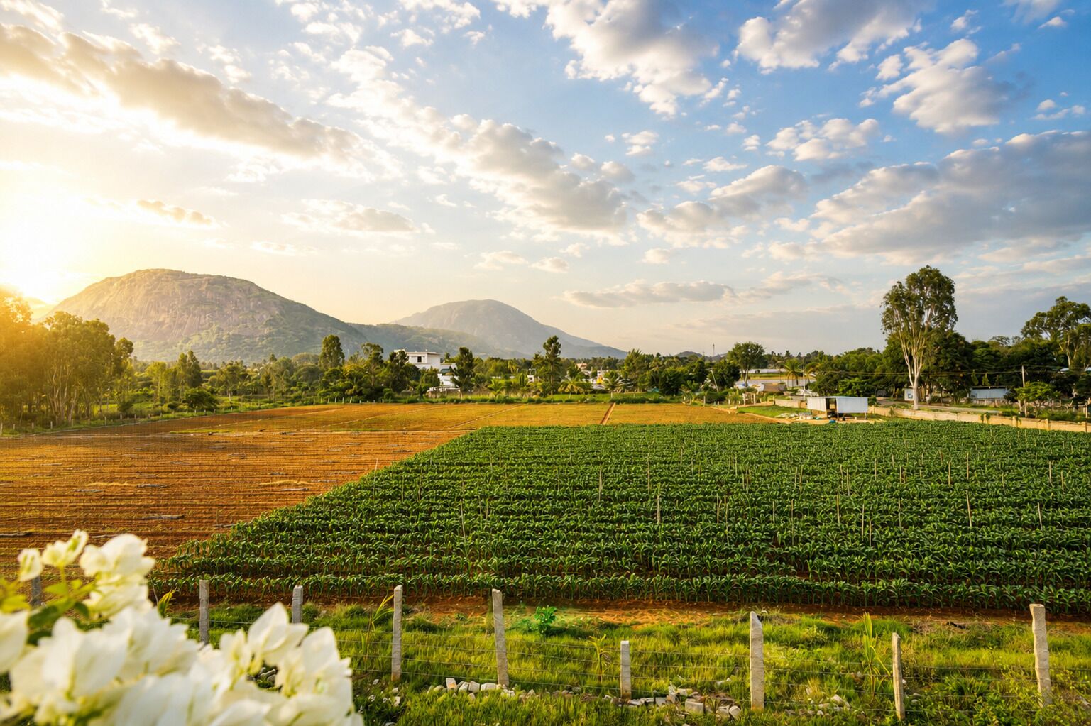A rural landscape with fields, a mountain, and a few buildings in the distance.