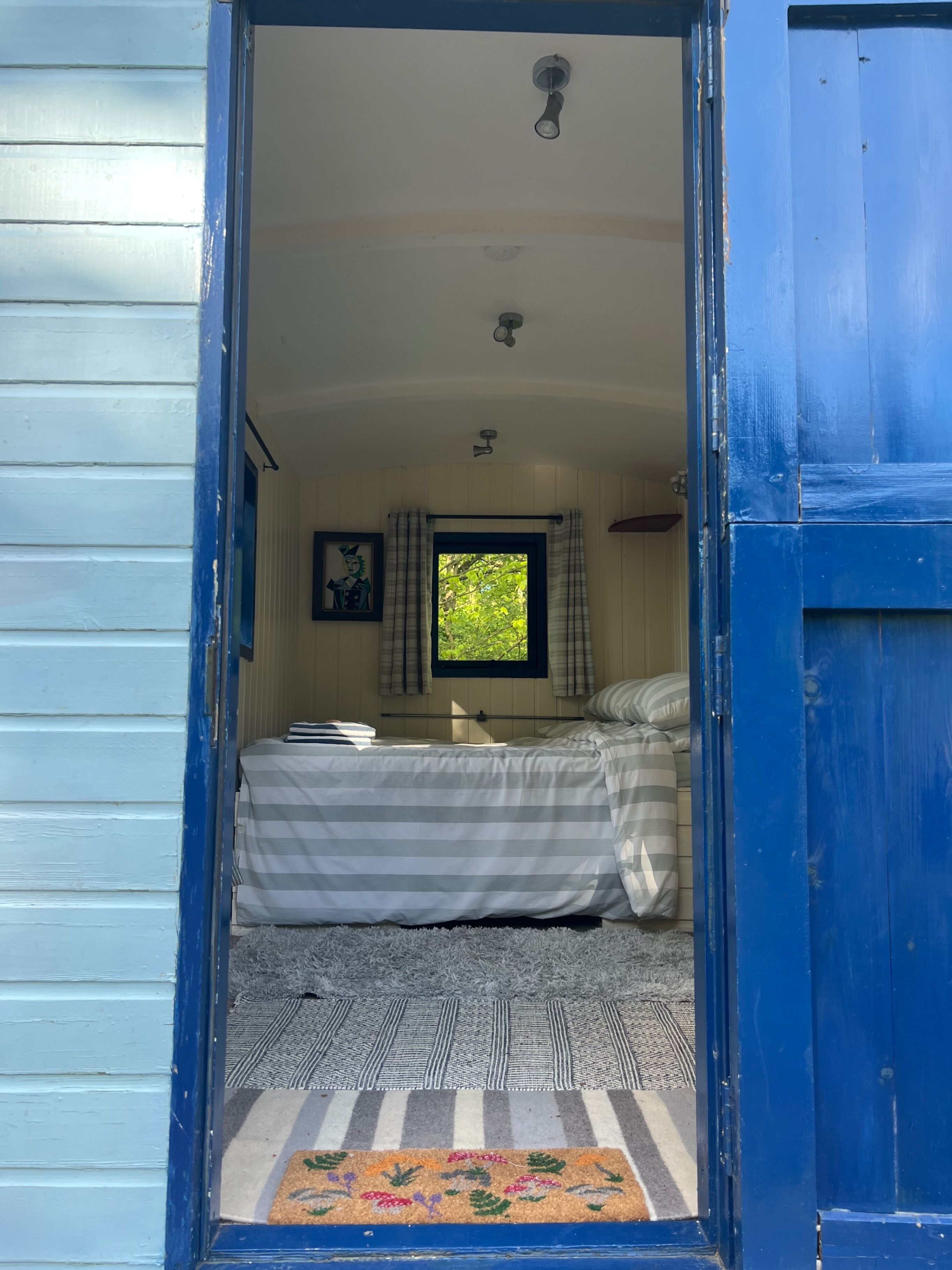 A room with a bed, a window with curtains, a ceiling fan, and a door.
