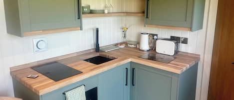 Fridge, microwave, stovetop, electric kettle
