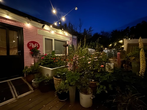 Coastal Cabin / 2 rooms / Sleeps 3